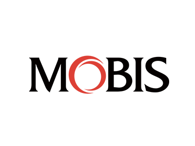 Mobis radio code