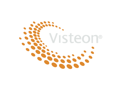 Visteon radio code